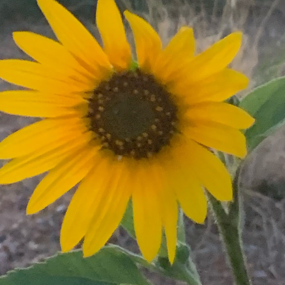 Meet your Posher, Angie